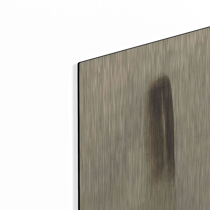 «Feather II Vintage» par Debra Van Swearingen, H 24 po x l 16 po