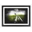 Path to a Lone Tree - Picture Frame Graphic Art Print-56861802-56861801