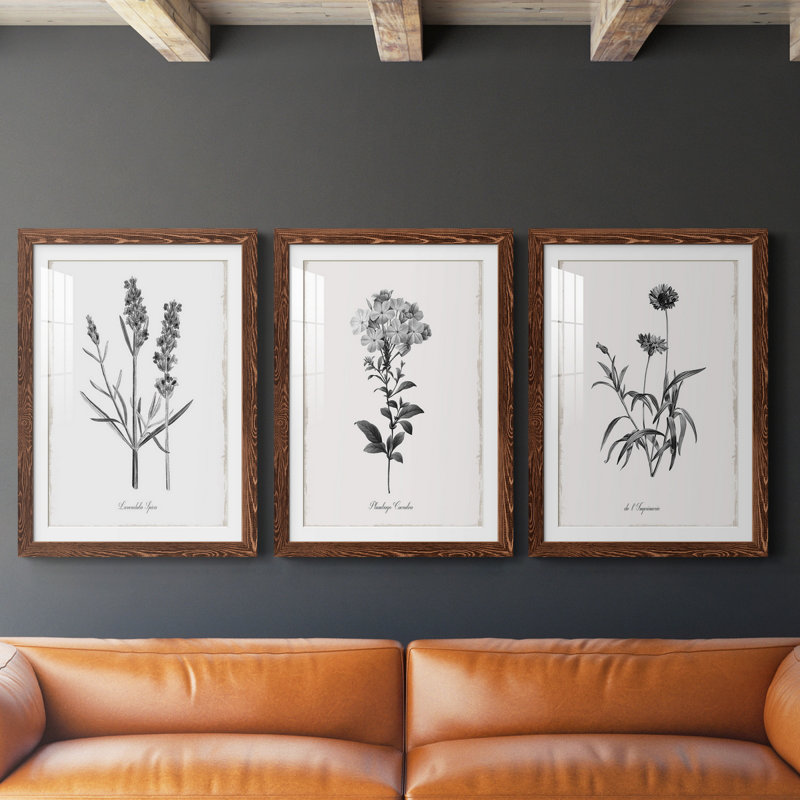 " Simply Imperial " 3 - Pieces Painting Print, 17" H x 20" W x 1" D, Maple