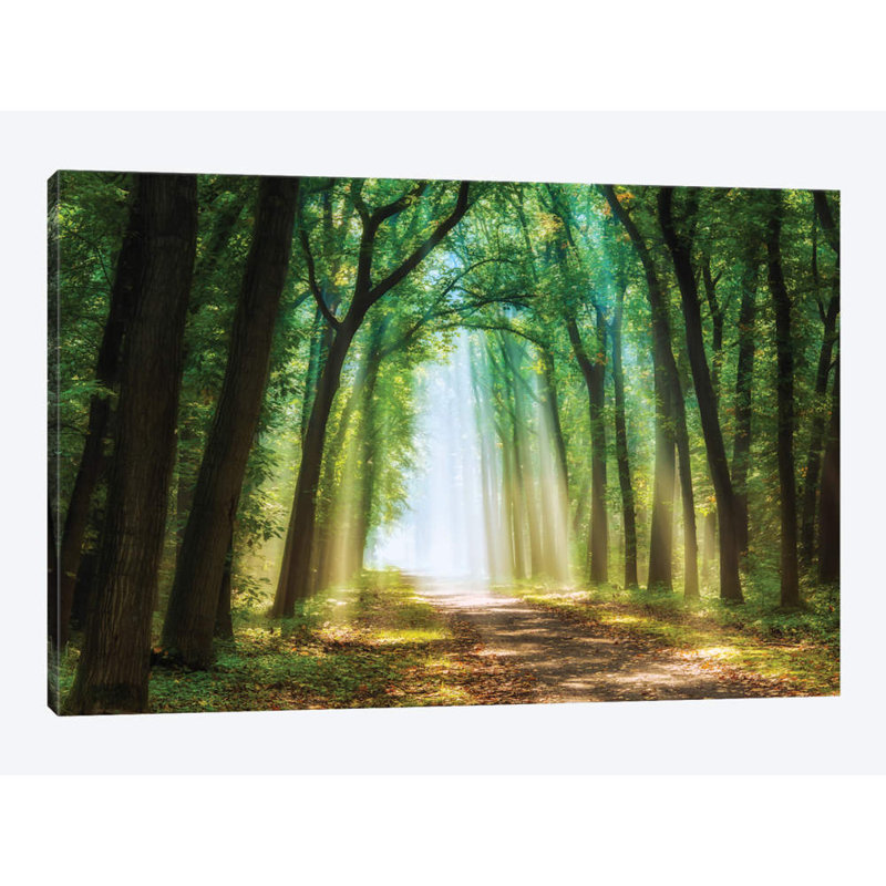 Lars Van De Goor - Wrapped Canvas Print, 66.04 cm H x 45.72 cm W x 1.91 cm D