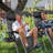 Leonetti Folding Zero Gravity Chair-1057766992