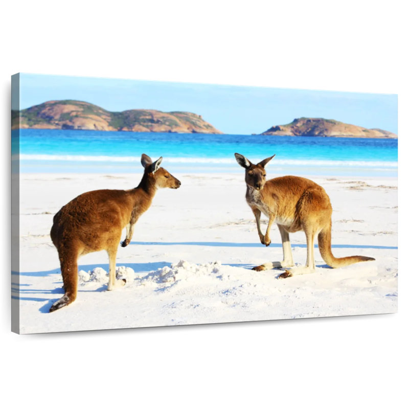 Cape Le Grand Kangaroos