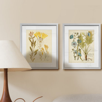 Impression botanique antique, ensemble de 2 reproductions d’art graphique encadrées sur papier