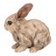 Statue lapin en bois flotté-339798858
