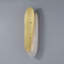 Aquamarine 1 Light Wall Sconce