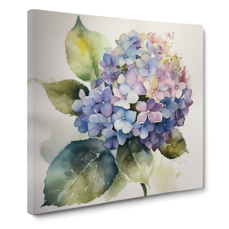 Hydrangea Watercolour - Wrapped Canvas, 50cm H x 50cm W x 3cm D