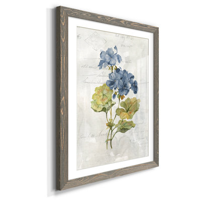 " Blue Linen Geranium " Painting Print