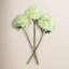 Hydrangea Floral Stem (Set of 3)-1695142974
