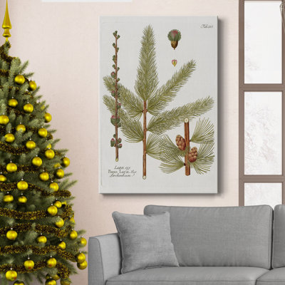 " Botanical Larch " Painting Print