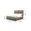 Crispina Upholstered Bed-1509919081-1519350574
