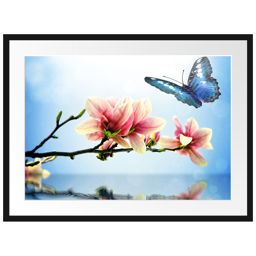 Gerahmtes Poster Schmetterling mit Magnolien-Blüte