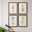Mauve Garden Flowers I - ensemble de 4 peintures encadrées-1257449926-1257449931