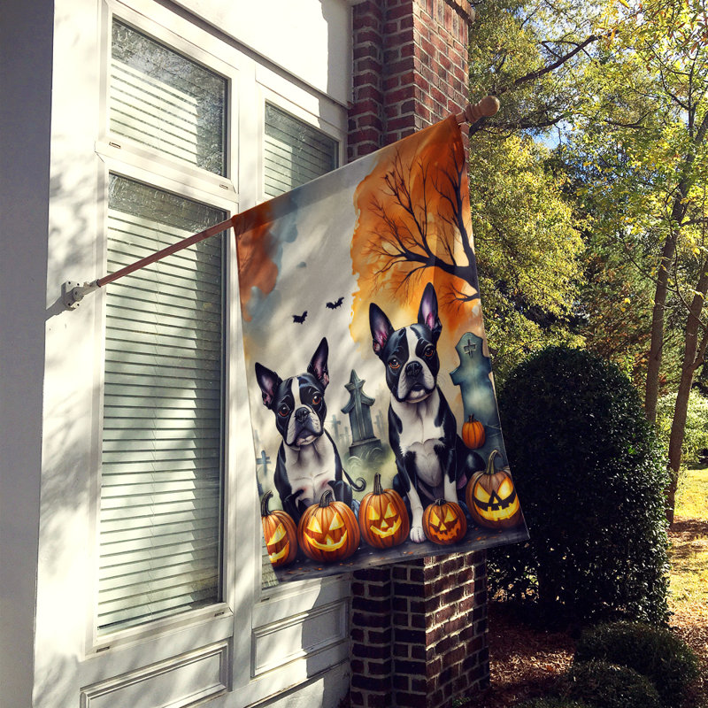 Drapeau de la maison d'Halloween terrier de Boston