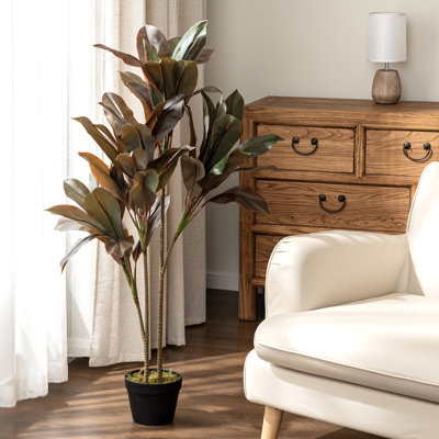Arbre en caoutchouc 47,2 po Ficus
