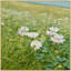 Clover Landscape 1 Painting