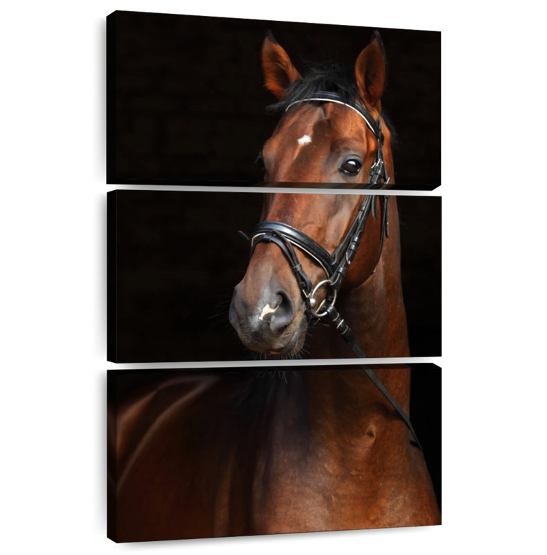 Brampt Bay Horse, 65" H x 42" W