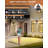 Annaiyah LED Wall Light