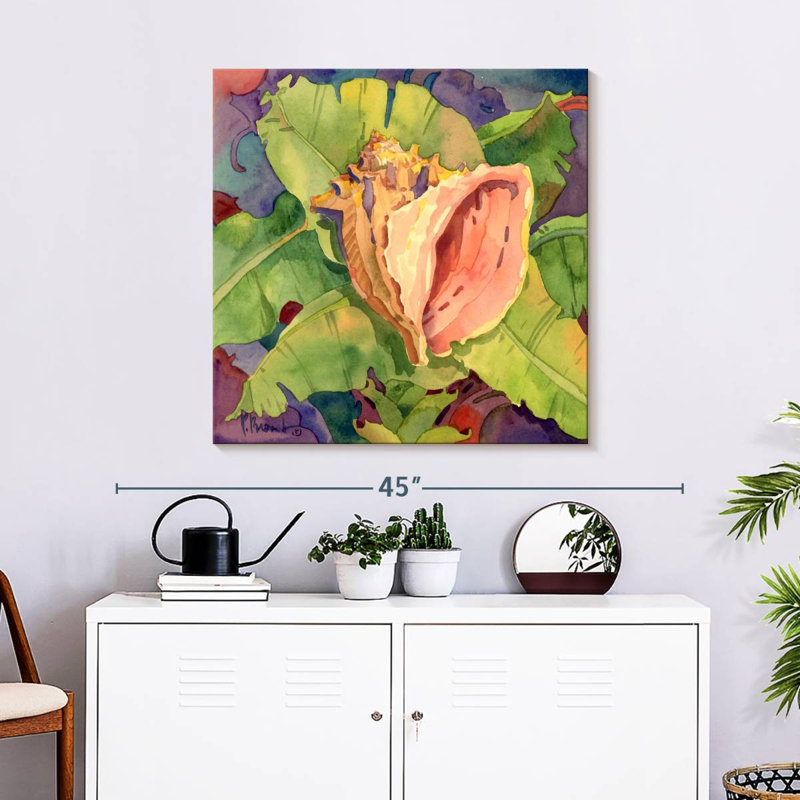 Aletra Mango Bay Conch