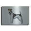 «Fox Terrier» par Harro Maass-1514001597