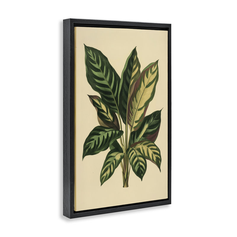 Cadre flottant avec feuilles tropicales et feuilles vertes, design par Petal Prints Design, H 31 po x l 21 po