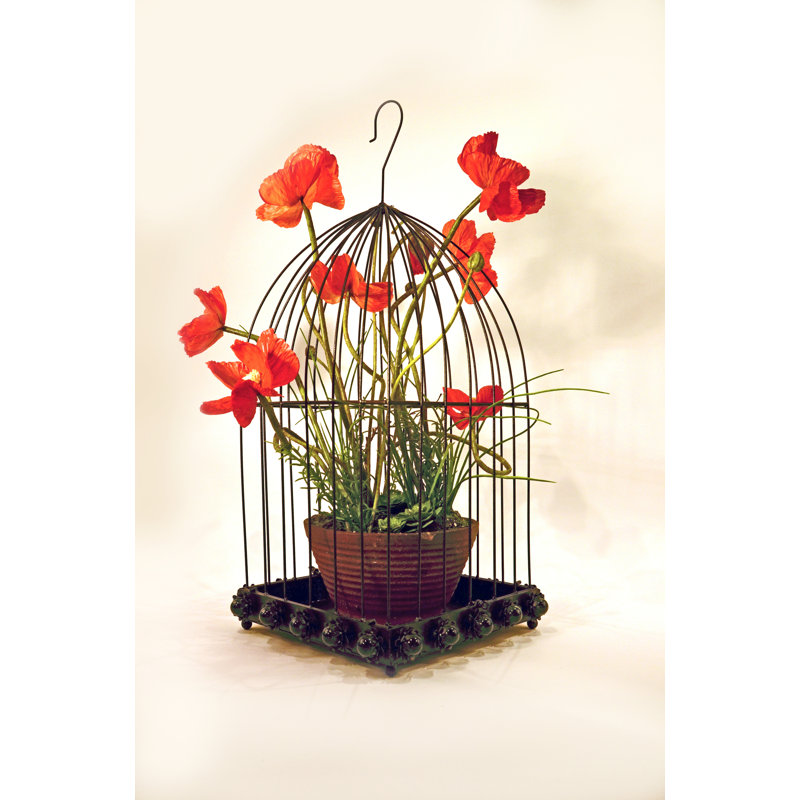 Cage à oiseau avec crochet Wild Rose