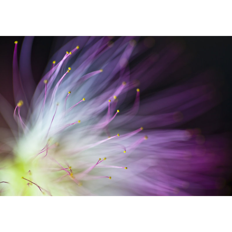 Wrapped Canvas Print, 50.8 cm H x 76.2 cm W