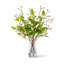Savoy Greenery Bud Arrangement