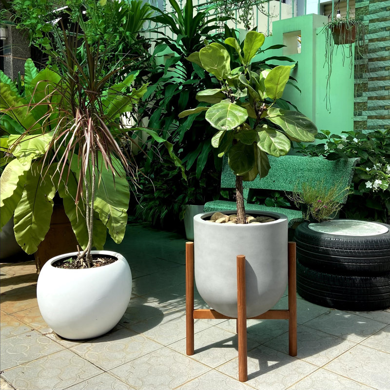 Support pour plante Akea, Brun, H 14,5 po x l 14 po x P 14 po