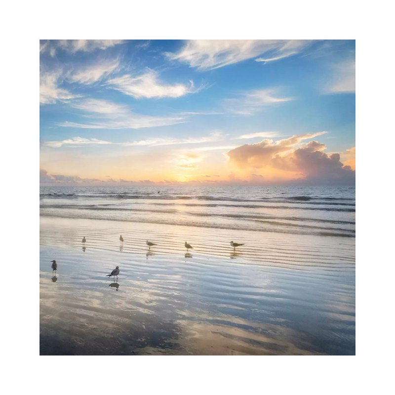 Morning Beauty by Andy Amos - Print on Canvas, Wrapped Canvas, 45.72cm H x 45.72cm W x 1.91cm D