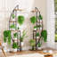 Plant Stand - Set of 2