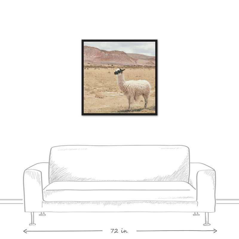 Lama dans un champ, H 31,75 po x l 31,75 po x P 1,75 po
