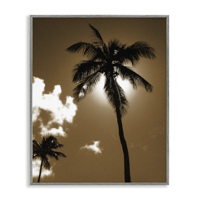 «Sunlight Through Palms», art de la giclée encadrée par Noah Bay