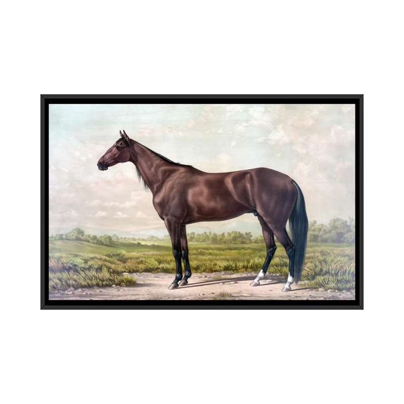 « cheval i », impression sur toile, H 18 po x l 26 po x P 1,5 po, Toile avec cadre noir, Pas de tapis