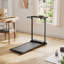 Steel；PP Sports Rack