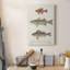 Species Of Antique Fish II - Wrapped Canvas Print-540452468