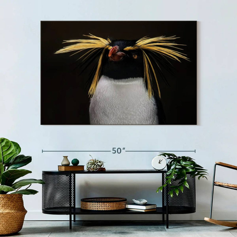 Southern Rockhopper Penguin, 34" H x 51" W