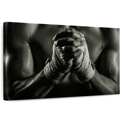 Sireci Dedicated Boxer
