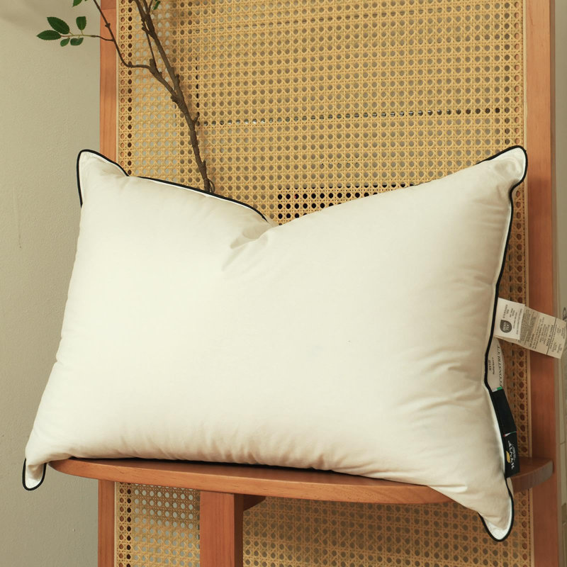 Oreiller en duvet de luxe HYVIF - oreillers ultra-doux et de qualité supérieure pour un confort et un soutien supérieurs pendant le sommeil - grand lit (20 po x 28 po)