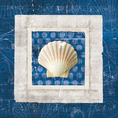 Coquille de mer III sur fond bleu