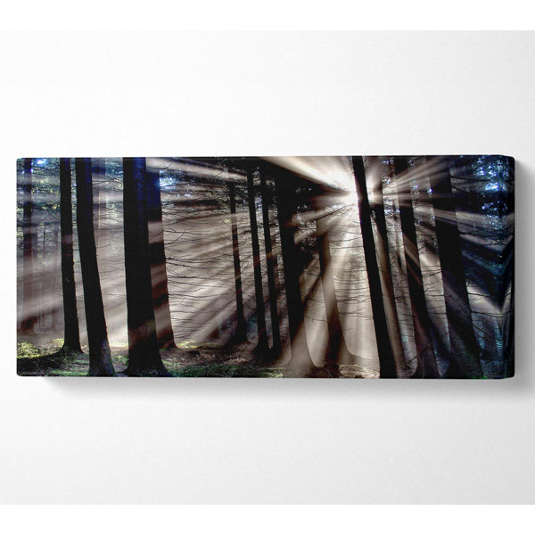 Union Rustic Wrapped Canvas Art Prints | Wayfair.co.uk