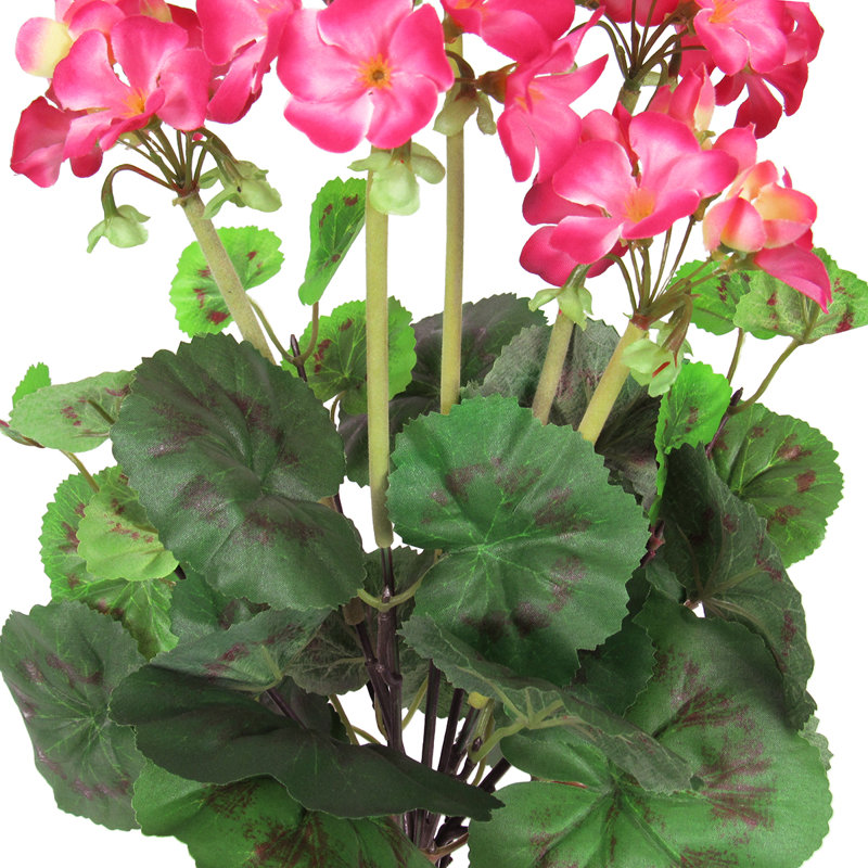 Fleur de géranium, Rose / vert