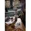 La Cafetière Seattle Glass Carafe and Cone