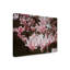 «Magnolia» par Etelca, impression sur toile tendue-27645937
