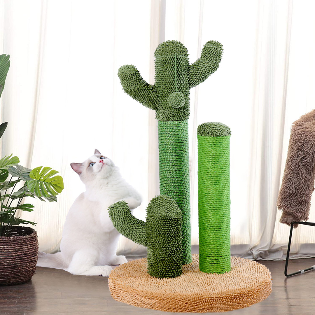 Brach Cat Scratching Post Cactus Series,Cat Cactus with 3 Scratching Post and Interactive Dangling Ball Tucker Murphy Pet™