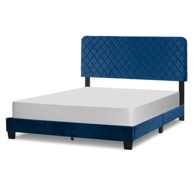 Darcy-May Upholstered Standard Bed