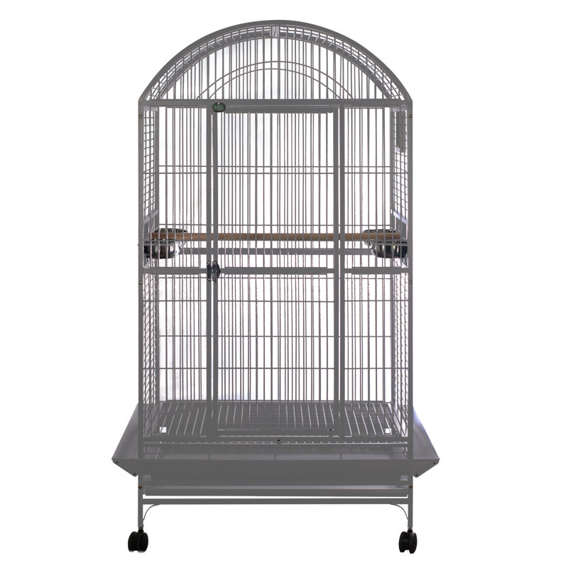 Grande cage supérieure en dôme platine, Platine