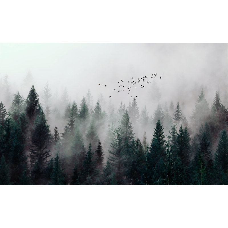 Murale Defaria Misty Forest Nature Mountain, L 75 po x l 112 po