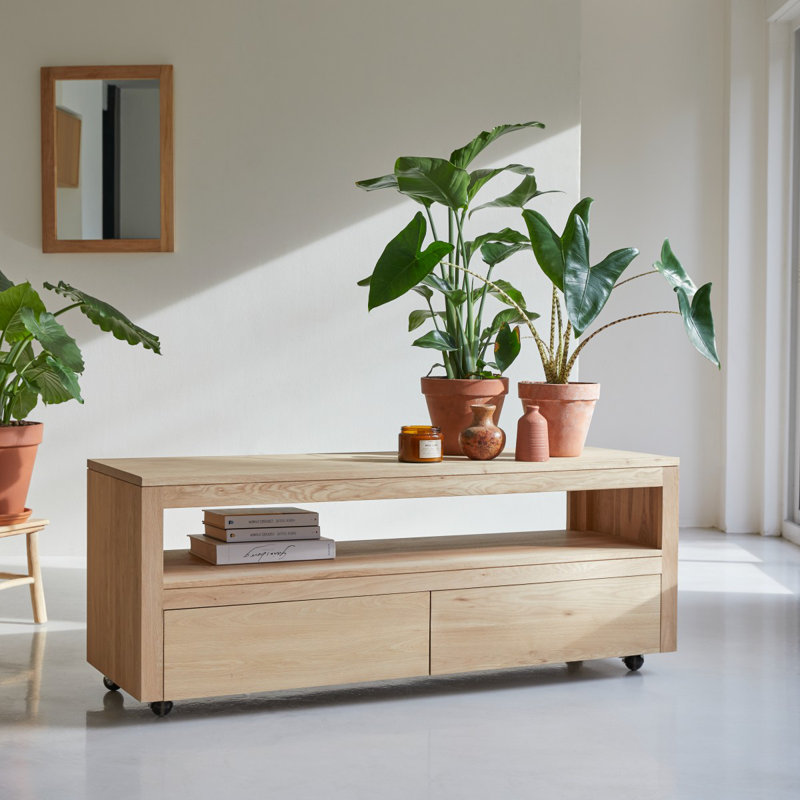 Anoa Media Console