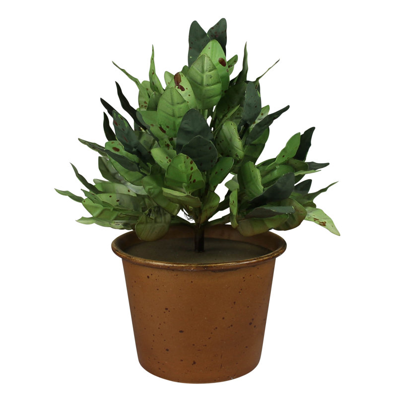 Pots verts, aluminium