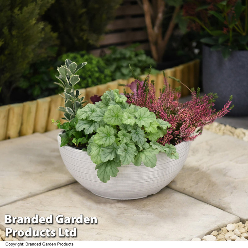 Bayadere Plant Pot Triple Pack, Light Grey